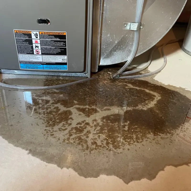 Appliance Leak Cleanup in Warren, IN